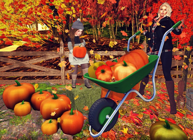 pumpkin picking 2